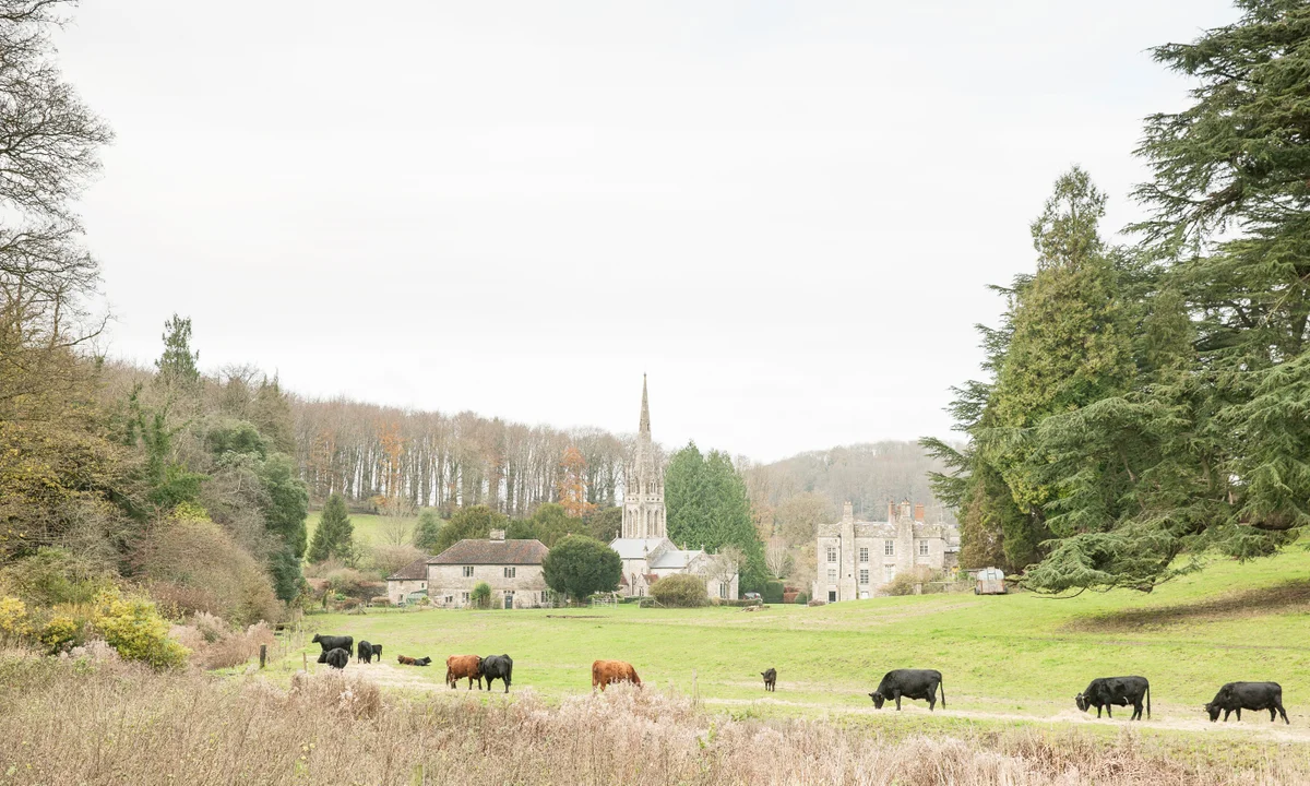 What to Look for When Visiting Care Homes in Tisbury & The Nadder Valley