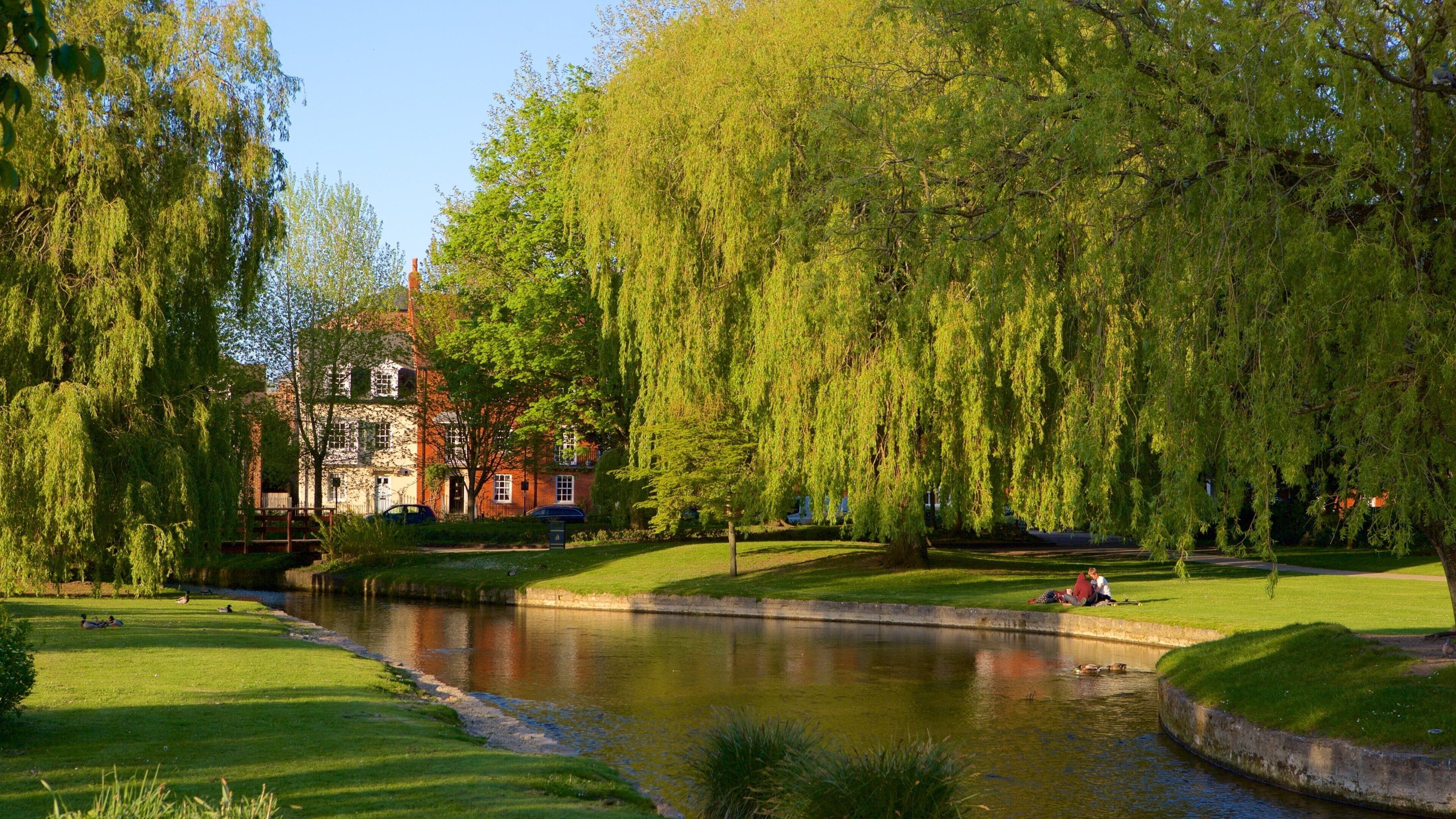 How to Choose the Right Residential Care Home in Wiltshire for Your Loved One